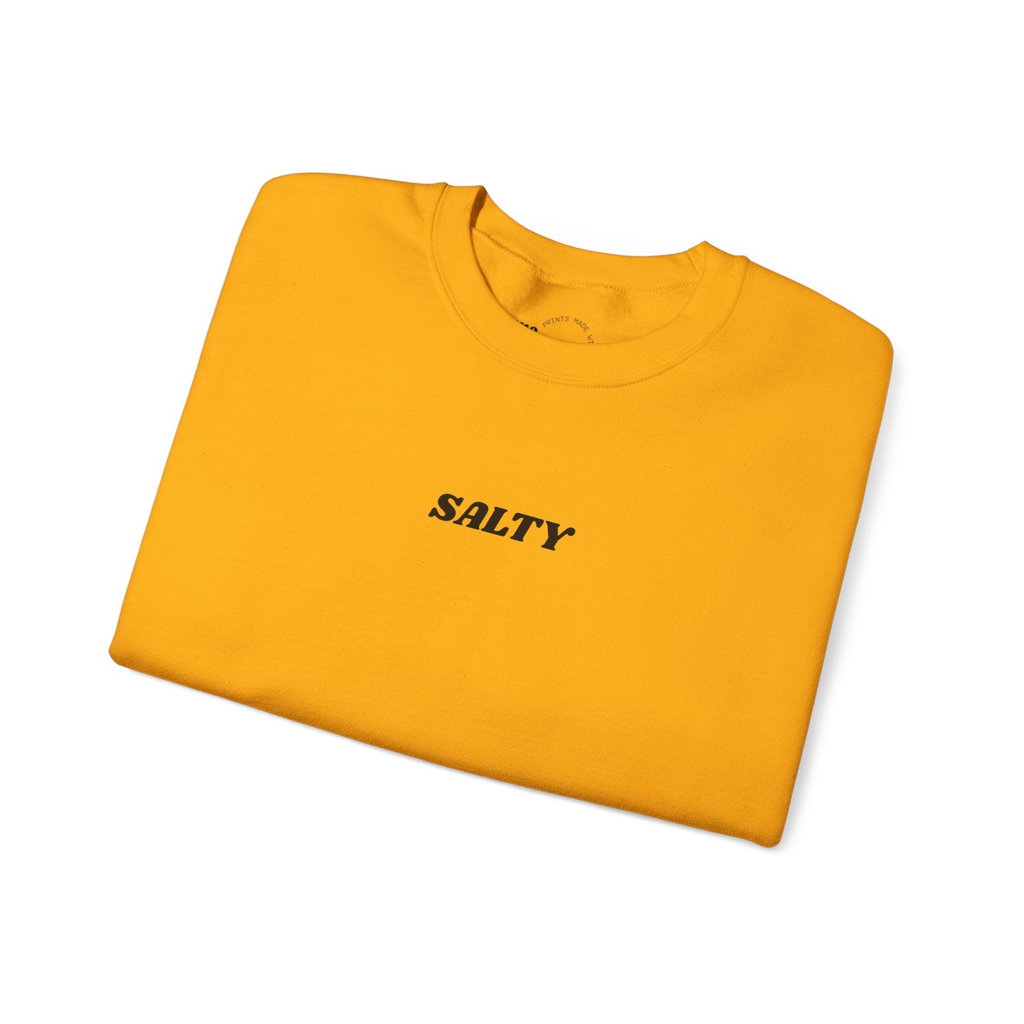 SALTY sweatshirt | 'You are the salt of the earth' Matthew 5:13 back