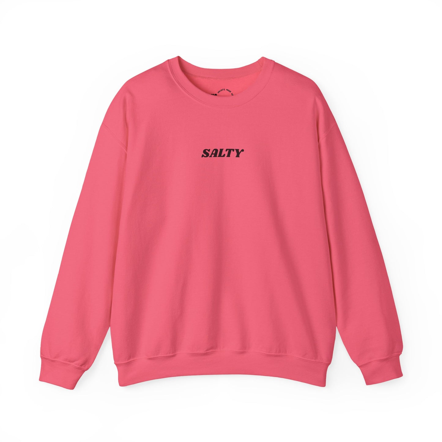 SALTY sweatshirt | 'You are the salt of the earth' Matthew 5:13 back
