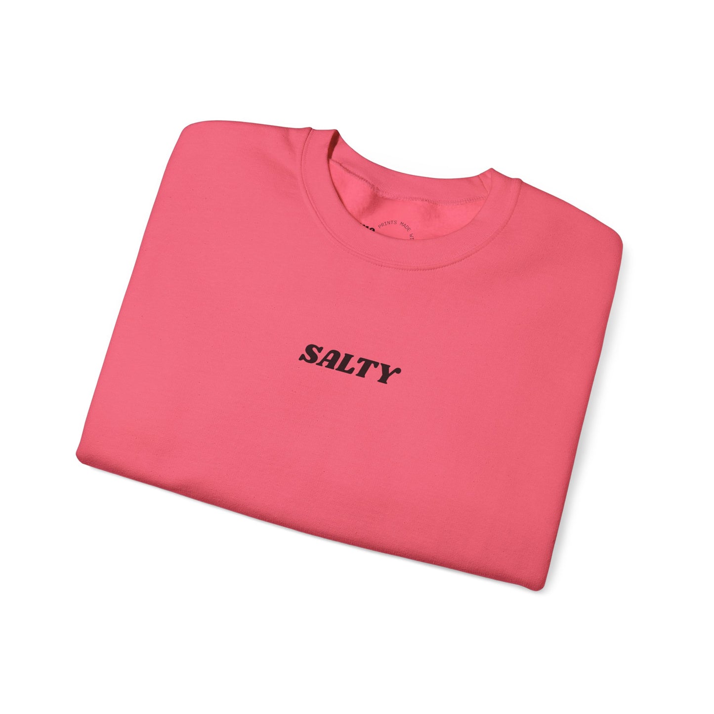 SALTY sweatshirt | 'You are the salt of the earth' Matthew 5:13 back