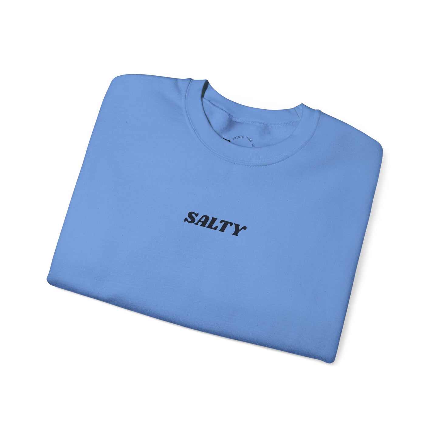 SALTY sweatshirt | 'You are the salt of the earth' Matthew 5:13 back