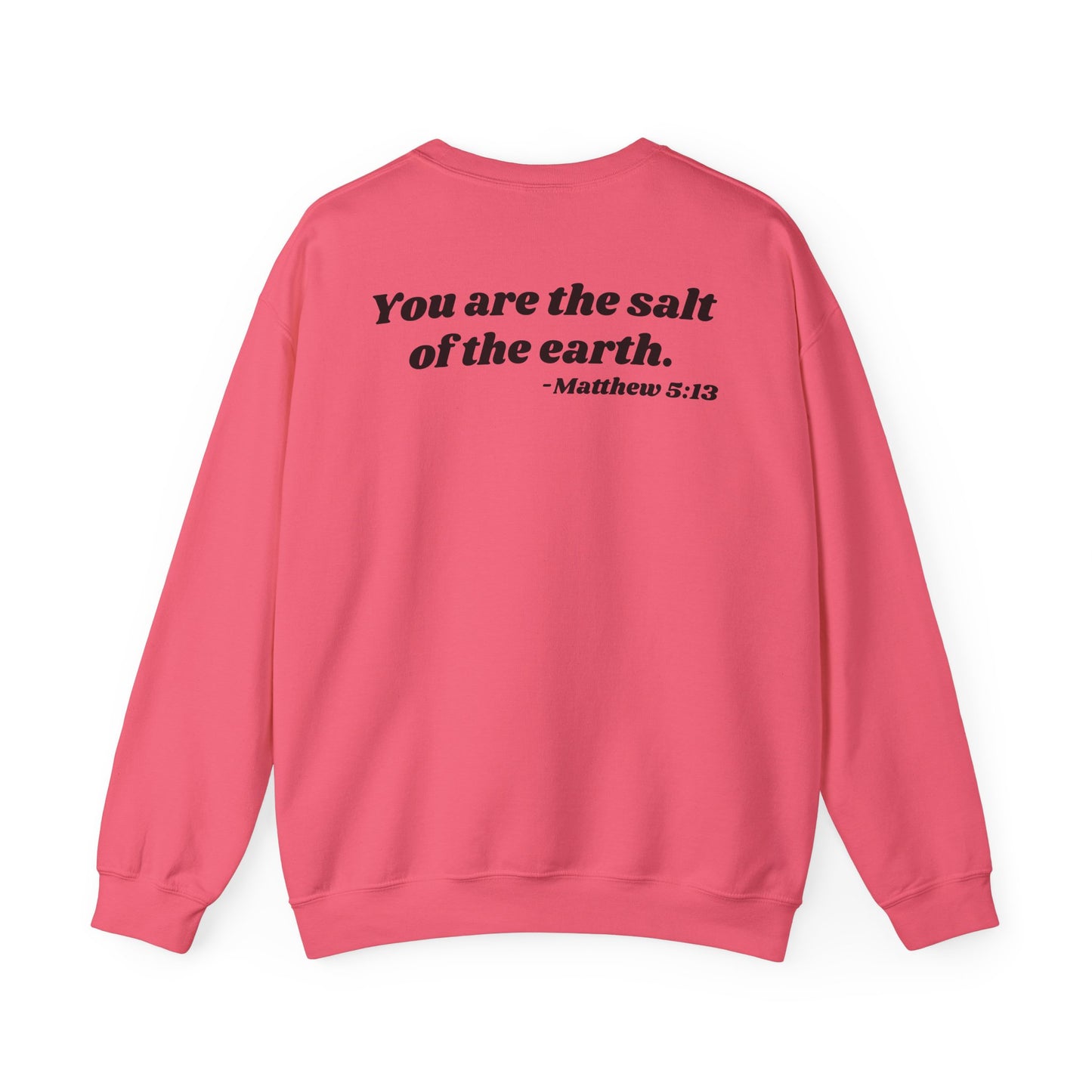 SALTY sweatshirt | 'You are the salt of the earth' Matthew 5:13 back